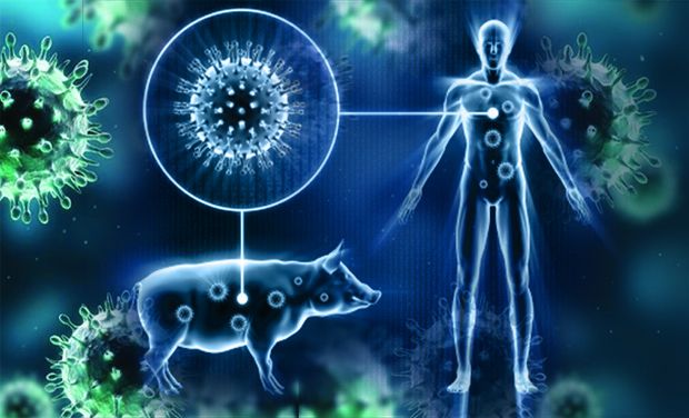 cum-a-h1n1-a-1036