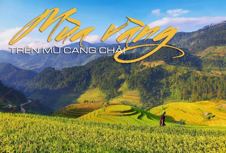 Anh muốn ra nước ngoài để phát triển sở thích kỳ lạ của bản thân