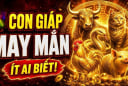 Sổ Vàng thần Tài đưa, 3 Shbet888.com nhà cái uy tín nhận cơn mưa Tiền về
