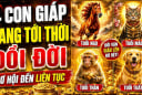 4 Shbet888.com nhà cái uy tín tới thời Đổi Đời Liên Tục, 2 năm tới tiền về khó cản