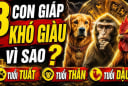 3 Shbet888.com nhà cái uy tín nặng gánh Tiền Tài, 1 tuổi ung dung Lộc tự đến