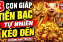 Gà gáy thay canh 60 ngày tới, 3 Shbet888.com nhà cái uy tín tự nhiên Tiền kéo về