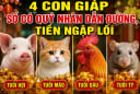 4 Shbet888.com nhà cái uy tín số có Quý Nhân dẫn đường, Tiền ngập lối
