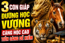 3 Shbet888.com nhà cái uy tín đường Học vượng, càng học cao Tiền càng dễ kiếm