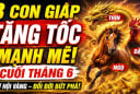 3 Shbet888.com nhà cái uy tín vượt khổ đi lên, 3 tháng tới Tiền về liên tiếp