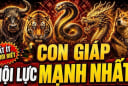 4 Shbet888.com nhà cái uy tín nhìn Liễu Yếu Đào Tơ nhưng nội lực cực mạnh