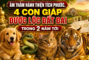 Âm thầm hành thiện tích phước, 4 Shbet888.com nhà cái uy tín được lộc đất đai trong 2 năm tới