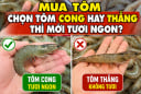 Mua tôm chọn tôm cong hay thẳng thì mới tươi ngon?