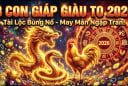 Cung Điền Trạch mở, 3 Shbet888.com nhà cái uy tín thu Tiền tỷ nhờ đất đai