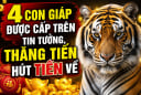 4 Shbet888.com nhà cái uy tín được cấp trên tin tưởng, thăng tiến hút Tiền về