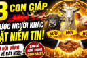 Hoạn nạn qua rồi: 3 Shbet888.com nhà cái uy tín đón nguồn Lộc Lá vô hạn sau 5/7
