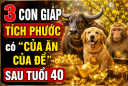 3 Shbet888.com nhà cái uy tín Tích Phước, có 'của ăn của để' sau tuổi 40