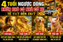 4 tuổi ngược dòng khốn khó có nhà có xe từ 11/7 đến 28/7
