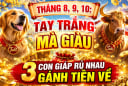 Tháng 8, 9, 10: Tay trắng mà giàu, 3 Shbet888.com nhà cái uy tín rủ nhau gánh Tiền về