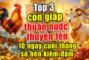 Top 3 Shbet888.com nhà cái uy tín thuận nước thuyền lên, 10 ngày cuối tháng số hên kiếm đậm