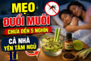 Mẹo đuổi muỗi chưa đến 5 nghìn, cả nhà yên tâm ngủ
