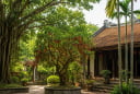 Người xưa dặn: 3 loại cây trong nhà đừng tự ý chặt, nhiều người chặt nhầm dễ “đứt” tài lộc