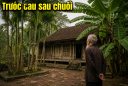 Người xưa bảo: Trước cau sau chuối, làm ngược lại có được không?