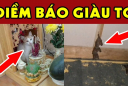 4 con vật vào nhà mang tới may mắn giàu có cho Shbet111 slot, casino, thể thao, xổ số bạn: Đừng dại đuổi đi