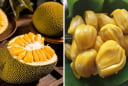 5 nhóm người không nên ăn mít dù thơm ngon, bổ dưỡng