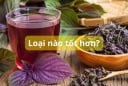 Uống nước lá tía tô tươi hay khô sẽ tốt hơn?
