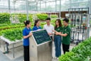 5 ngành học đang “khát” nhân lực tại Việt Nam: Ra trường dễ có việc, thu nhập nhiều người mơ ước