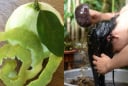 Cách gội đầu bằng vỏ bưởi trị rụng tóc, kích thích tóc mọc nhanh lại suôn mượt, sạch gàu
