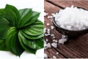 8 công dụng ít người biết từ lá trầu không: Điều thứ 2 ai cũng muốn thử một lần