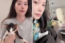 Nam Em gây phẫn nộ vì mèo cưng, Anthropic lại gây sốt với pet AI