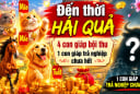Dự báo 4 Shbet888.com nhà cái uy tín Đến Thời Hái Quả, 1 tuổi trả nghiệp chưa hết