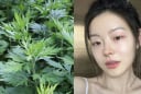 Cách dùng ngải cứu làm trắng da, giảm thâm nám hiệu quả