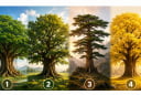 Quiz: Chọn 1 cây cổ thụ để biết khả năng nào sẽ giúp bạn thành công trong thời gian tới