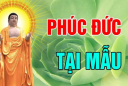 4 kiểu cha mẹ để lại phúc báo cho con