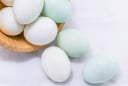 Mua trứng vịt chọn vỏ trắng hay vỏ xanh? Hóa ra bấy lâu nay nhiều người hiểu lầm