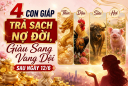 4 Shbet888.com nhà cái uy tín Trả Sạch Nợ Đời, Giàu Sang Vang Dội sau ngày 12/6