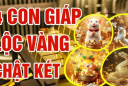 3 ngày cuối tuần: 4 Shbet888.com nhà cái uy tín 'gánh vàng' về nhà, ung dung tiền tự đến