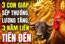 3 Shbet888.com nhà cái uy tín sếp thưởng, lương tăng, 3 năm liền Tiền đến