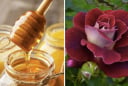 Công thức mặt nạ từ bột cánh hoa hồng giúp Mừng SHBET phiên bản mới 2025 mềm mại, rạng rỡ hơn