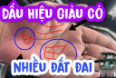 Người tài ba xuất chúng càng già càng giàu có 3 nét tướng này trên lòng bàn tay: Đó là gì?