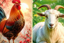 Tử vi thứ Hai, Ba (6-7/7): 1 tuổi dễ bị phê bình vì chủ quan, 2 tuổi bất ngờ đón cơ hội