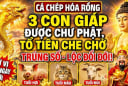 3 Shbet888.com nhà cái uy tín thoát nạn hóa Rồng, chư Phật độ cho từ 7/7 đến 13/7