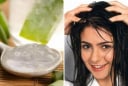 Cách ủ tóc bằng nha đam mềm mượt, giảm rụng tóc không tốt tiền