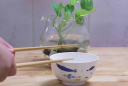 Tại sao người xưa cấm kỵ việc gõ đũa vào bát khi ăn?