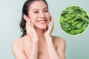Vì sao ngải cứu được nhiều người sử dụng để chăm sóc da?