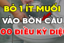 Vì sao nên bỏ 1 nắm muối vào bồn cầu