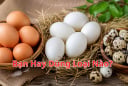 Trứng gà, trứng vịt hay trứng cút: Loại nào đáng ăn hơn?
