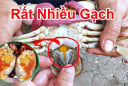 Đi chợ nên mua 'cua đực' hay 'cua cái' thì ngon hơn?