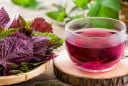 Những người không nên uống nước lá tía tô: Càng uống càng hại