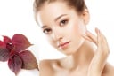 3 cách làm đẹp da với lá tía tô tại nhà giúp da sạch khỏe và mềm mịn hơn