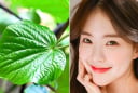 Lá lốt có thực sự giúp cải thiện mụn? Những cách sử dụng đơn giản tại nhà cần biết